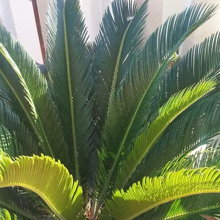 Diocletians Center Apartmán Split