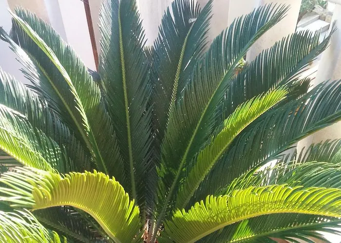 Diocletians Center Apartman Split